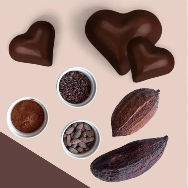 Cocoa | Benefits and Methods of Preparation