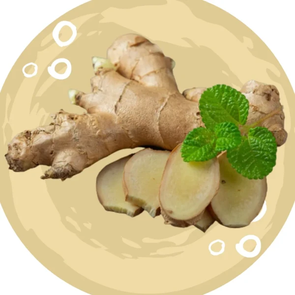 Ginger Benefits and Harms